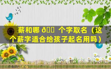 薪和哪 🐠 个字取名（这个薪字适合给孩子起名用吗）